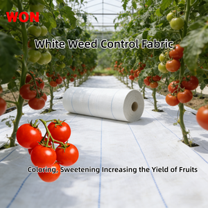 Couverture de sol réfléchissante de haute qualité WON Factory, géotextile tissé blanc pour l'agriculture, plantation de tomates cerises et de fraises, en rouleau - Product Image 2
