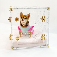 Cages pour animaux de compagnie modernes pliables en acrylique transparent brillant, style meuble