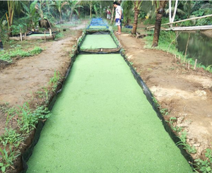 OBOR-Geomembrana HDPE negra para estanques Azolla, 0,75mm, 1mm, en Egipto, <span class=keywords><strong>Jordan</strong></span> - Product Image 2