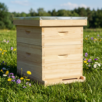 Nouvelles ruches Langstroth à 2 niveaux en bois de sapin pour l'apiculture, kit de 10 cadres avec joint en queue d'aronde pour les abeilles