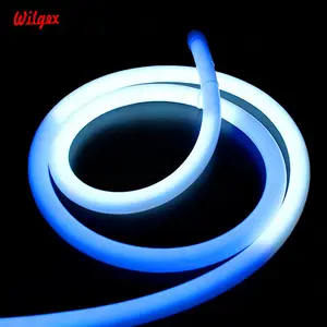 Custom Neon Light Dmx Led Strip Dimmable Led Tube Rope 360 Degree Round Dia 18mm Pixel RGB Lighting and Circuitry Design 3 Years