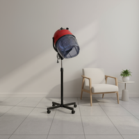 Sèche-cheveux professionnel de salon haut de gamme, à capot, sur pied, pour salon de coiffure et institut de beauté, vente en gros d'usine