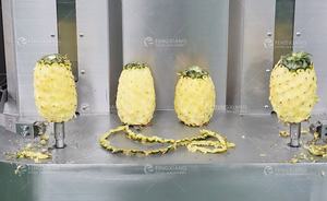 FXP-66s ekmek meyve ananas Mango soyma makinesi hindistan cevizi karpuz soyucu soyma makinesi - Product Image 3