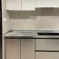 Armoire de cuisine en acier inoxydable personnalisable en gros ignifuge et étanche avec couleur métallique d'origine résistante aux rayures