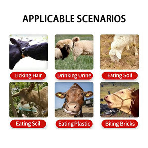 Prémélange de contrôle du stress pour bovins et ovins - Supplément alimentaire apaisant, acides aminés, vitamines, minéraux, <span class=keywords><strong>antibiotiques</strong></span>, Henan - Product Image 3