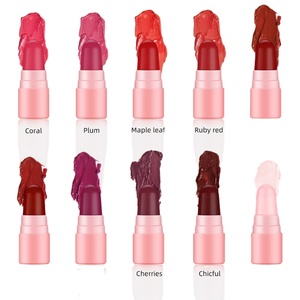 SFR01A Vegan Organique nude mat cosmétique rouge à lèvres ensemble <span class=keywords><strong>pas</strong></span> <span class=keywords><strong>cher</strong></span> coréen étanche <span class=keywords><strong>maquillage</strong></span> 10 pcs <span class=keywords><strong>bio</strong></span> mini rouge à lèvres <span class=keywords><strong>coffret</strong></span> cadeau - Product Image 2