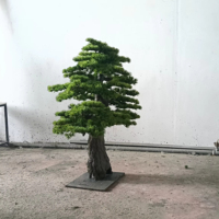 Plante Artificielle Bonsaï, Pin Spirale Artificiel, Plantes Artificielles d'Extérieur pour Jardin Japonais, Types de Pains Artificiels