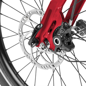 Vélo cargo <span class=keywords><strong>Bosch</strong></span> <span class=keywords><strong>de</strong></span> haute qualité à bas <span class=keywords><strong>prix</strong></span> Shimano Alivio Shadow Porte-bagages arrière 36V 11Ah Vélo électrique urbain longue portée Famille - Product Image 3