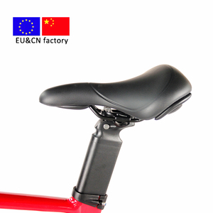Vélo électrique de route batterie amovible ebike gravier ebike - Product Image 4