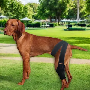 TOPDIVE Neoprene Dog Leg Protection Recovery Band Adjustable Dog Knee Brace for Small Medium Large Dogs