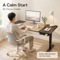 Bureau de travail AOR Home Gaming avec réglage électrique de la hauteur, durable, idéal pour le gaming et le travail, vente en gros usine