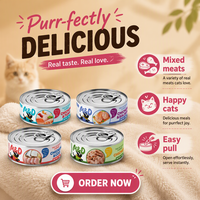 Nourriture humide pour chat MAIDOU, délicieuse, en conserve de 85 g, saveur poulet, riche en protéines, friandises pour chats difficiles à satisfaire