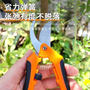 Rama Pruning Shears Stainless Steel Butterfly Bypass For Garden Branches - Product Image 4