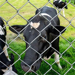 Malla de Alambre de Cadena de Alta Calidad Usada, Galvanizada por Inmersión en Caliente, Cerca de Alambre de Cadena - Product Image 2