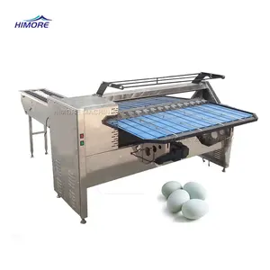 Stainless Steel Egg Size Sorting Machine Egg Sort and Pack Machine Egg Sorter by Weight