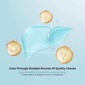 OEM Cápsulas para Saúde do Fígado e Suporte da Vesícula Biliar Alimentado por Milk Thistle Gestão do Peso Suplemento Ultra Fígado - Product Image 4