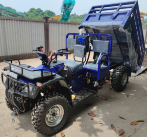 Высокое качество, 300 куб. См, CVT, Cuatrymoto, ферма, ATV, внедорожный UTV - Product Image 3