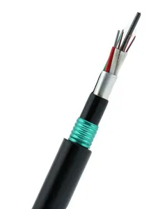 Best Price Factory Outdoor 2 4 6 8 10 12 24 Fiber G652D Armor Aerial Armoured GYTS Fiber Optic Cable GYTS Cable