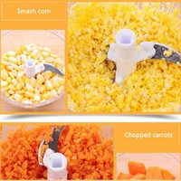 Fabriek Groothandel Noten Kruiden Uien Knoflook Krachtige Hand Held Groente Blender Chopper