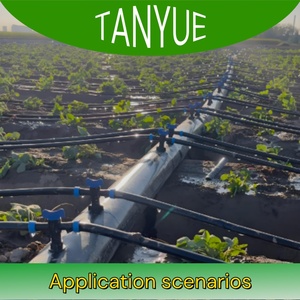 Ruban Goutteur PE Personnalisable de Haute Qualité, Système d'Irrigation au <span class=keywords><strong>Goutte</strong></span>-<span class=keywords><strong>à</strong></span>-<span class=keywords><strong>Goutte</strong></span> Pratique – Vendu par les Fabricants - Product Image 6