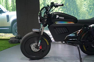 Bicicleta Cross Económica para Hombres y Adultos en Venta, Eléctrica y de Alta Gama con Envío Gratis, Modelo SK-2 - Product Image 3