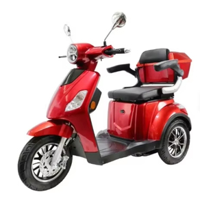 รถสามล้อไฟฟ้าคุณภาพสูง Vis-ta-2 1000W สำหรับผู้ใหญ่ - Product Image 6
