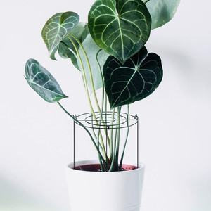 Support de <span class=keywords><strong>plante</strong></span> verte de jardinage de vigne d'escalade créative 30x40cm support de fleur d'hortensia de cadre d'escalade de <span class=keywords><strong>plante</strong></span> de fer de Rose - Product Image 6