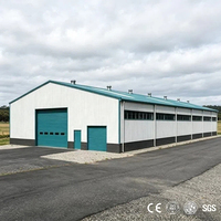 Edificio Industriale Prefabbricato in Acciaio, Officina e Magazzino, Design Personalizzato, Struttura Metallica Leggera
