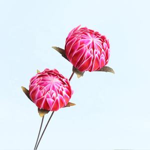 Flores Secas Protea de Alta Calidad al por Mayor, Tacto Real, para Decoración de Bodas y Hogar, Flores de Lavanda Secas - Product Image 4