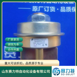 สวิตช์ควบคุมแรงดัน Antunes รุ่น 8021206255 G1/2 ทองเหลือง สำหรับใช้งานในอุตสาหกรรม - Product Image 4