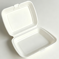 Boîte à lunch jetable en bagasse de 16 pouces avec couvercle, récipient alimentaire en canne à sucre biodégradable et micro-ondable pour restaurant et pique-nique