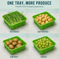 Barquette alimentaire carrée personnalisée en APET/RPET/PET, emballage en film alimentaire, barquette pour fruits et légumes