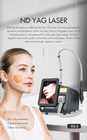 Nouveau Laser Nd:YAG Q-Switched Portable Haute Puissance 2026, Longueurs d'Onde 532/1064nm, Fréquence Rapide 1-10Hz pour Pigmentation Professionnelle