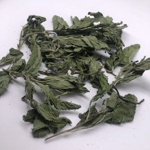 5012 Bo <span class=keywords><strong>He</strong></span> Ye Vente en gros Produits sains <span class=keywords><strong>Menthe</strong></span> <span class=keywords><strong>poivrée</strong></span> pour le thé Feuilles de <span class=keywords><strong>menthe</strong></span> séchées - Product Image 6