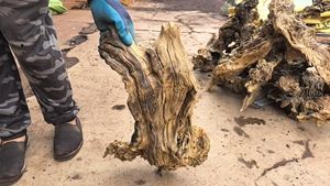 세라믹으로 만든 수족관 장식품 친환경 어항 액세서리 야외용 - Product Image 6