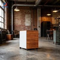 Archivador de Acero Comercial Moderno, Organizador de Documentos de Oficina con Cerradura para Muebles de Empresa, Escuela y Uso en Exteriores