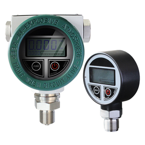 Manomètre numérique sanitaire à raccord Tri-Clamp pour l'industrie alimentaire (lait, bière) - Product Image 3