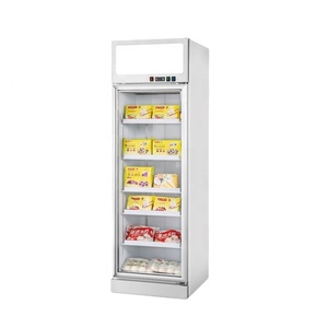 <span class=keywords><strong>Porte</strong></span> en verre <span class=keywords><strong>une</strong></span> <span class=keywords><strong>porte</strong></span> 480L congélateur vertical <span class=keywords><strong>vitrine</strong></span> de crème glacée réfrigérateur d'affichage - Product Image 1
