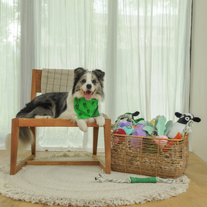 Üretici toptan doldurma ücretsiz kabak köpek oyuncağı etkileşim römorkör oyuncak peluş oyuncak köpek için - Product Image 6