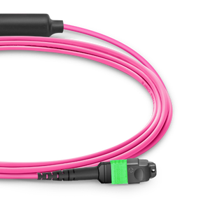 Mpo mtp <span class=keywords><strong>16</strong></span> סיבים מולטי mtp כבל mtp <span class=keywords><strong>16</strong></span> ליבה ל 2x8 כבל תיקון הליבה - Product Image 2