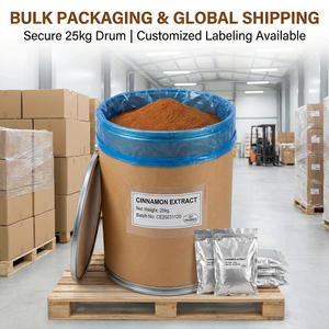 สารสกัดสมุนไพรอบเชยธรรมชาติ คินนามาลเดไฮด์เข้มข้น อาหารเสริมเพื่อสุขภาพ ชนิดผง รสชาติเข้มข้น ละลายน้ำได้ 10:1-50:1 - Product Image 4