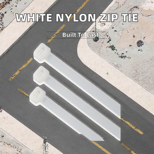 Attache-câble en nylon autobloquant ChenKe blanc 5 mm x 250 mm pour usage électrique et industriel - Product Image 2