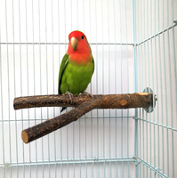 Support de perchoir à oiseaux en bois de pomme naturel écologique accessoires de Cage de plate-forme de perroquet en bois
