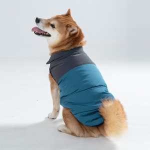 Abbigliamento Personalizzato per Cani Maschi e Femmine, Cappotto Invernale Imbottito Resistente all'Acqua per Cuccioli - Product Image 4
