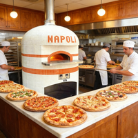 Four à pizza au bois en acier inoxydable pour extérieur, idéal pour jardin, patio et cuisine extérieure