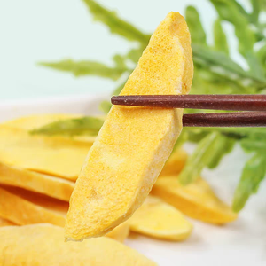 Produsen skala besar pembekuan-kering manis Iris mangga gaya kering proses pengawet air kemasan jumlah besar sayuran buah - Product Image 3