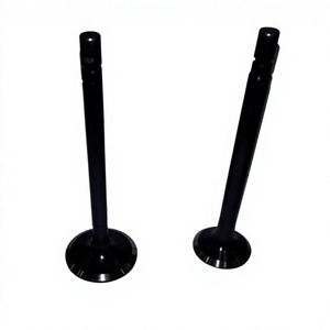 วาล์วไอดีและไอเสียสำหรับรถบรรทุก TATA 613 1613 1516 รุ่น STD OEM 252505120102 อะไหล่เครื่องยนต์สำหรับงานหนัก - Product Image 1