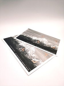 Tùy Chỉnh In Bưu Thiếp Hoặc Cảm Ơn Bạn Thẻ Hoặc Thiệp Chúc Mừng - Product Image 3