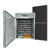 Incubateur d'œufs solaire 528 places avec contrôle automatique de la température, taux d'éclosion élevé, pour l'élevage avicole en ferme