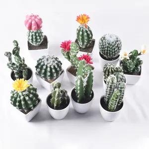 Alto Simulação ao ar livre verde real toque misturado mini cactus plantas artificiais